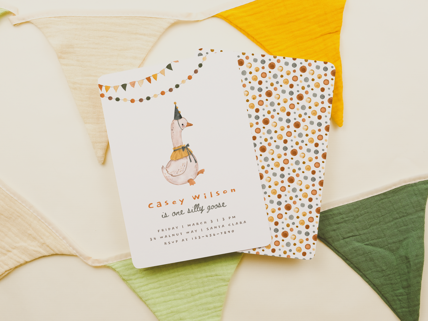 One Silly Goose Gender-Neutral Birthday Party Bundle