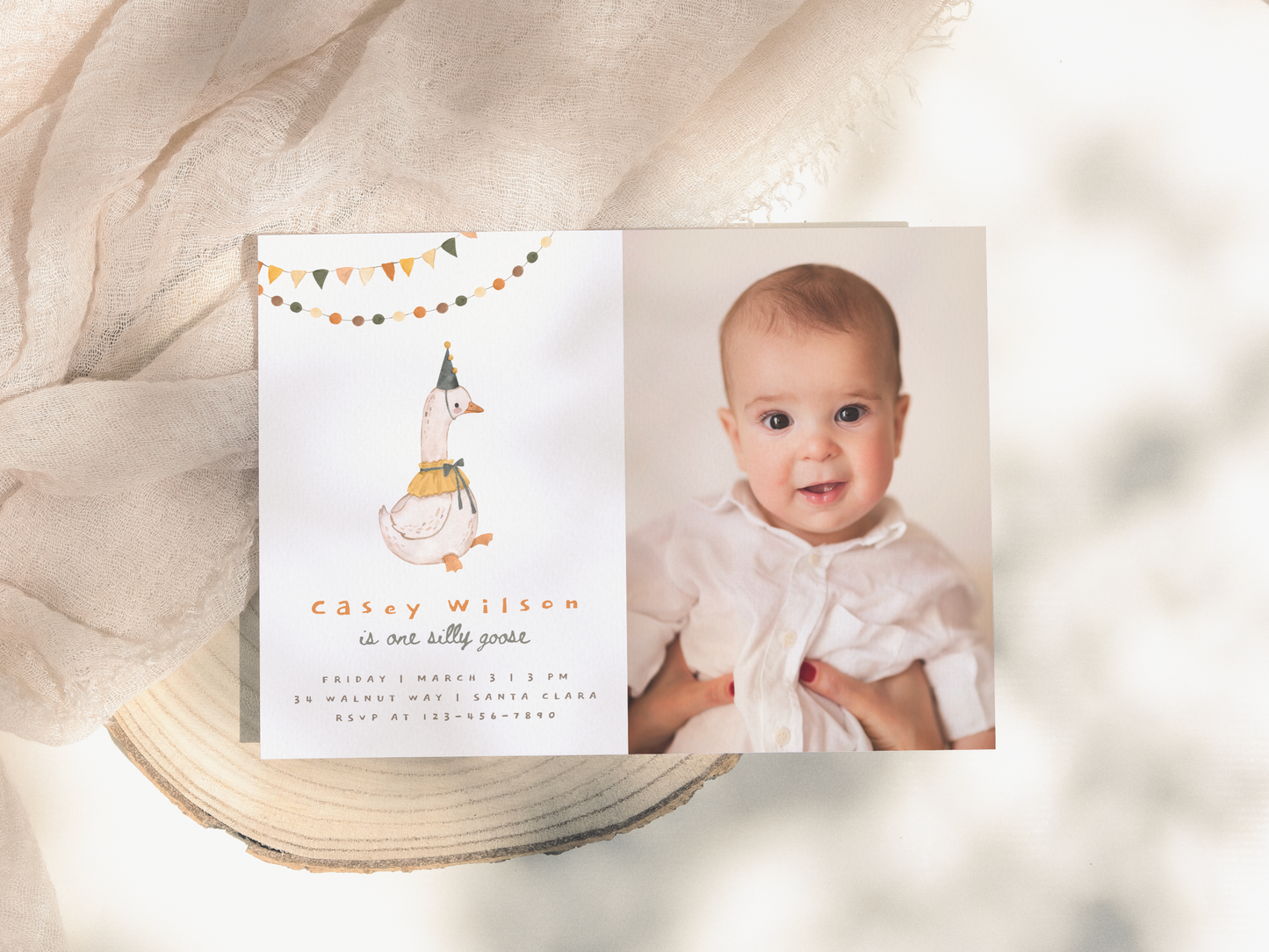 One Silly Goose Gender-Neutral Birthday Party Bundle