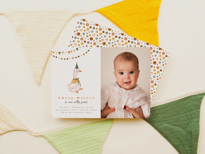 One Silly Goose Gender-Neutral Birthday Party Bundle