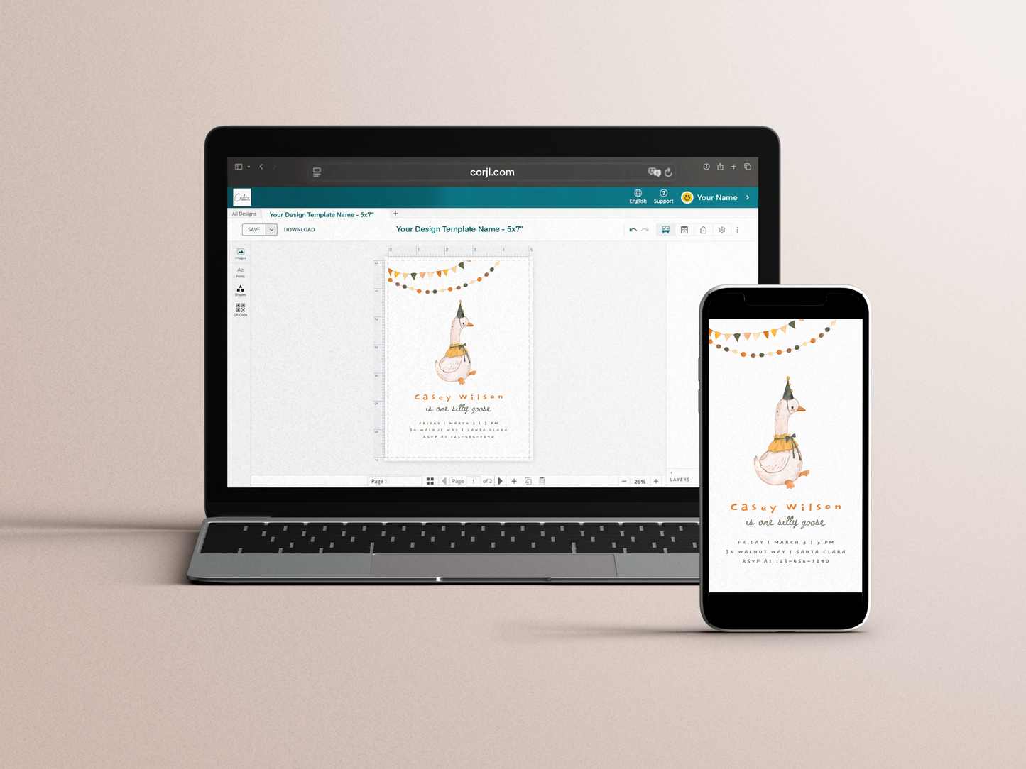 One Silly Goose Gender-Neutral Birthday Party Bundle